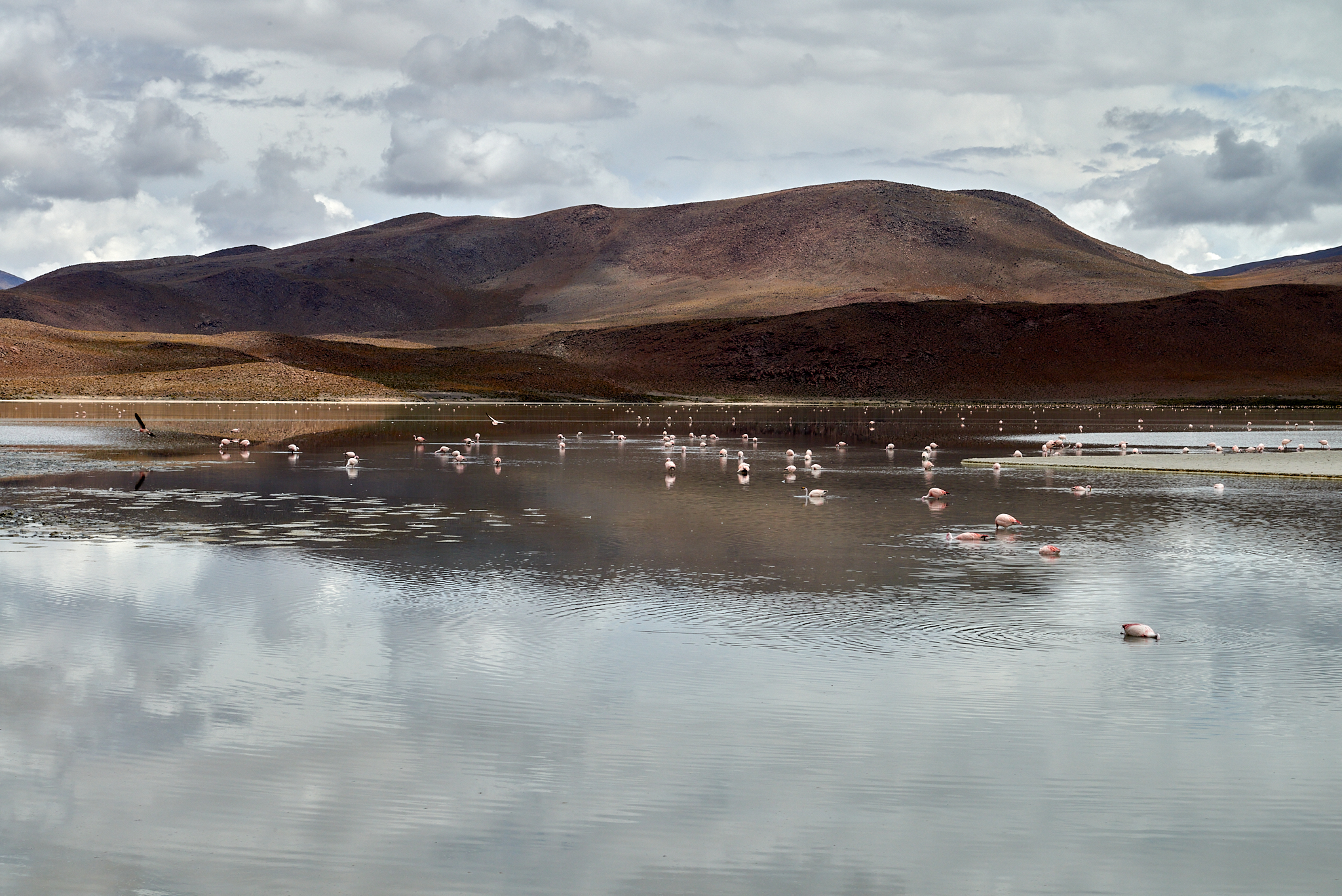 20200313 467 [볼리비아] 온다 호수